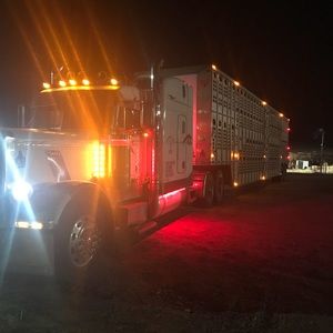 Meet your Posher, Casey